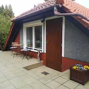 Szkocka , Gdańsk Polska